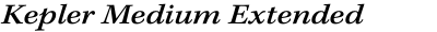 Kepler Medium Extended Italic Caption